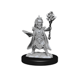 Pathfinder Deep Cuts™ Unpainted Miniatures: 72586 Evil Wizards