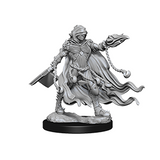 Pathfinder Deep Cuts™ Unpainted Miniatures: 72586 Evil Wizards