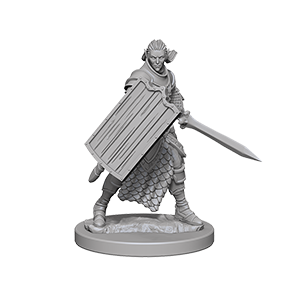 Pathfinder Deep Cuts™ Unpainted Miniatures: 72608 Elf Male Paladin