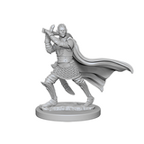 Pathfinder Deep Cuts™ Unpainted Miniatures: 72608 Elf Male Paladin