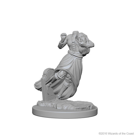 D&D Nolzur's Marvelous Unpainted Minis: 72564 Ghost and Banshee