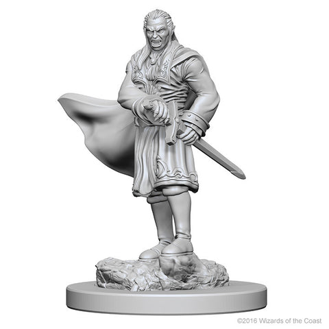 D&D Nolzur's Marvelous Unpainted Minis: 72565 Vampires