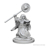 D&D Nolzur's Marvelous Unpainted Minis: 72620 Dwarf Male Wizard