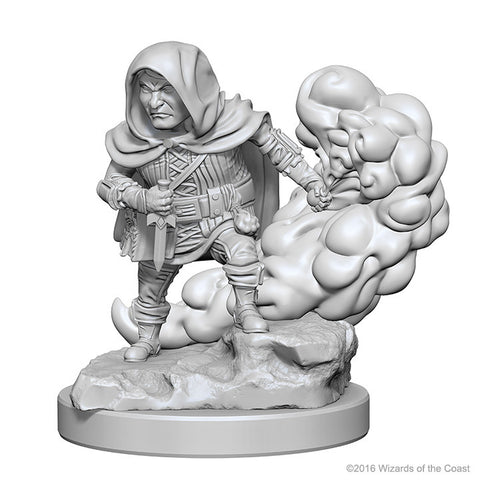 D&D Nolzur's Marvelous Unpainted Minis: 72626 Halfling Male Rogue