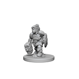 D&D Nolzur's Marvelous Unpainted Minis: 72631 Dwarf Female Paladin