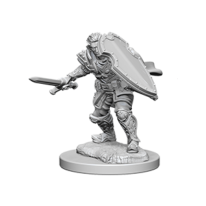 D&D Nolzur's Marvelous Unpainted Minis: 72629 Human Male Paladin
