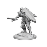 D&D Nolzur's Marvelous Unpainted Minis: 72629 Human Male Paladin