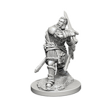 D&D Nolzur's Marvelous Unpainted Minis: 72629 Human Male Paladin