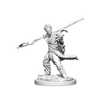 D&D Nolzur's Marvelous Unpainted Minis: 72639 Human Male Druid