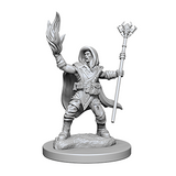 D&D Nolzur's Marvelous Unpainted Minis: 72622 Elf Male Wizard