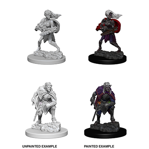 D&D Nolzur's Marvelous Unpainted Minis: 73189 Drow