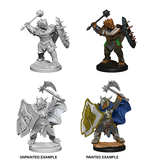 D&D Nolzur's Marvelous Unpainted Minis: 73200 Dragonborn Male Paladin