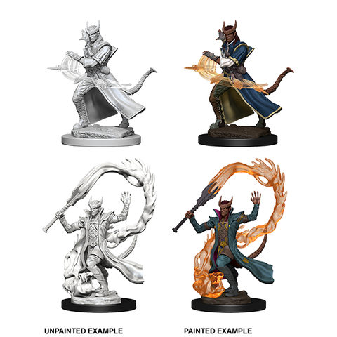 D&D Nolzur's Marvelous Unpainted Minis: 73201 Tiefling Male Sorceror