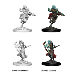 D&D Nolzur's Marvelous Unpainted Minis: 73204 Air Genasi Female Rogue