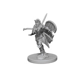 Pathfinder Deep Cuts™ Unpainted Miniatures: 72607 Human Female Paladin